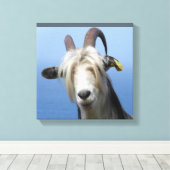 Ziegengewebe Leinwanddruck (Insitu (Holzboden))