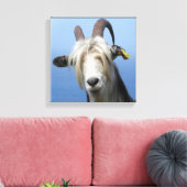Ziegengewebe Leinwanddruck (Insitu (Wohnzimmer))