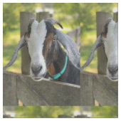 Ziegengewebe Stoff (Nahaufnahme)