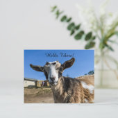 Ziegengrüßen Postkarte (Stehend Vorderseite)