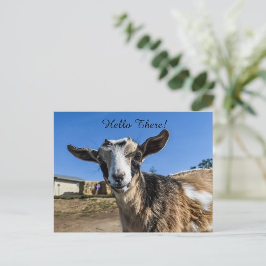 Ziegengrüßen Postkarte (Stehend Vorderseite)
