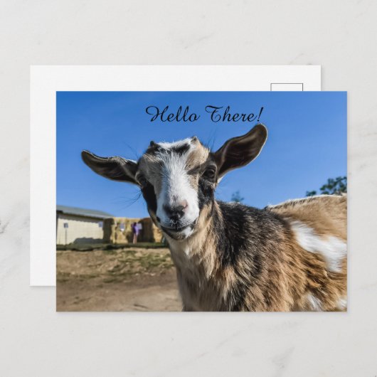 Ziegengrüßen Postkarte (Vorne/Hinten)