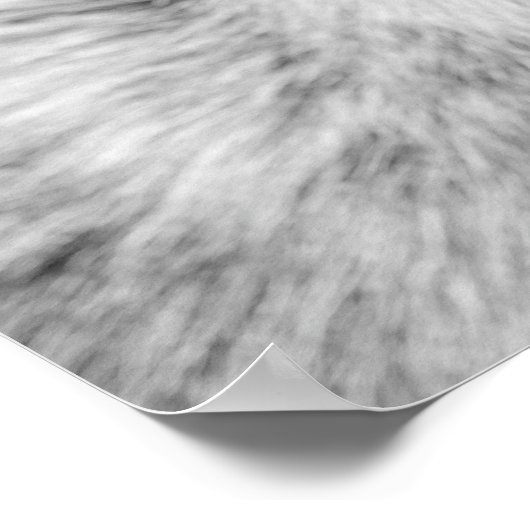 Ziegenhaltung Foto peekaboto schwarz-weiß Poster (Ecke)