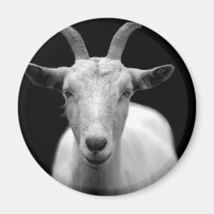 Ziegenhorn-Widder personalisieren Anniversalen Magnet