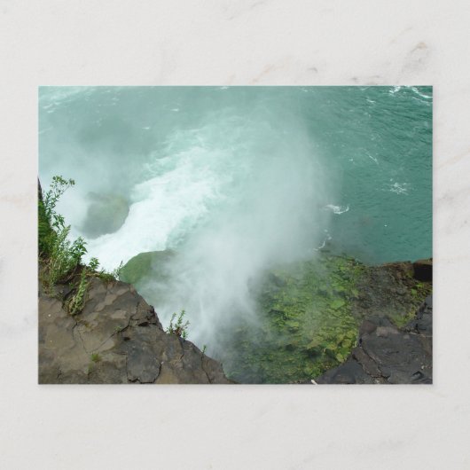 Ziegeninsel Terrapin Point Niagara Falls Postcard Postkarte (Vorderseite)