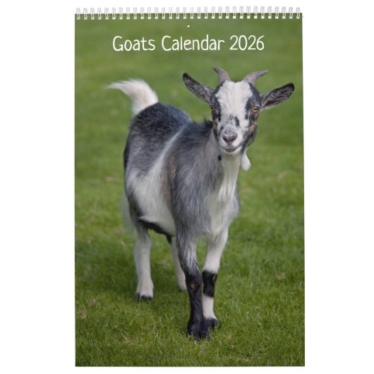 Ziegenkalender Kalender (Titelbild)