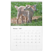Ziegenkalender Kalender (Feb 2027)
