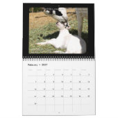 Ziegenkalender mit Inspirationsgeboten Kalender (Feb 2027)