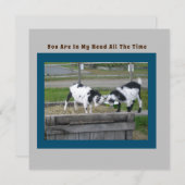 Ziegenkarte (Vorne/Hinten)