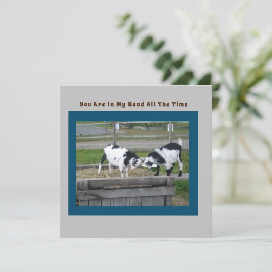 Ziegenkarte (Stehend Vorderseite)