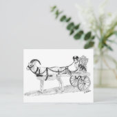 Ziegenkarte mit Schäferhund und Blume Postkarte (Stehend Vorderseite)