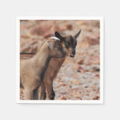 Ziegenkinder Serviette (Vorderseite)