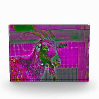 Ziegenkunst Fotoblock