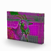 Ziegenkunst Fotoblock (Rechts)