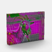 Ziegenkunst Fotoblock (Links)