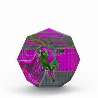 Ziegenkunst Fotoblock