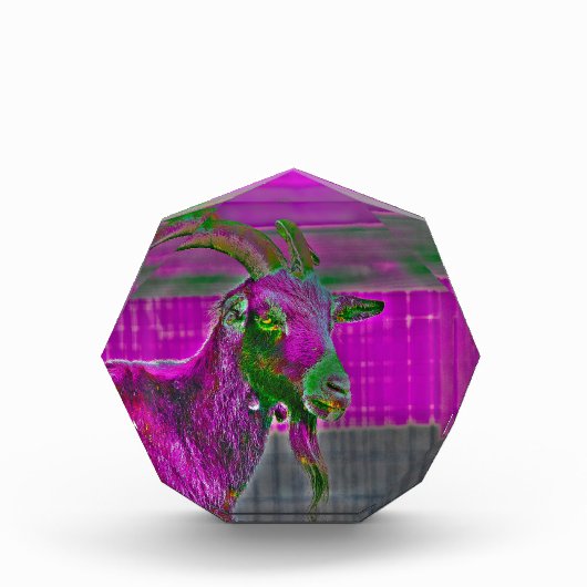 Ziegenkunst Fotoblock (Vorderseite)