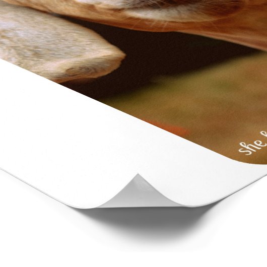 Ziegenkunst Poster (Ecke)