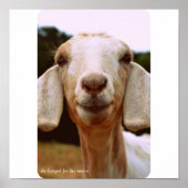 Ziegenkunst Poster (Vorne)