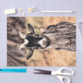 Ziegenlandwirtschaft — Entkopplung von Tieren aus  Seidenpapier (Handwerk)