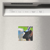 Ziegenmagnet Magnet (In Situ (Geschirrspüler))