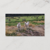 Ziegen'n-Heu Visitenkarte (Rückseite)