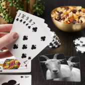 Ziegenportrait in Schwarz-Weiß Spielkarten (In Situ)