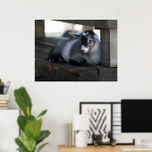 Ziegenposter Poster (Heimbüro)