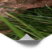 Ziegenposter Poster (Ecke)