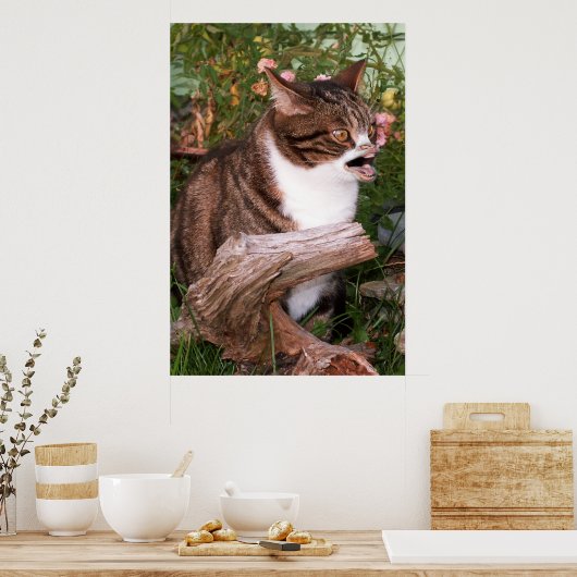 Ziegenposter Poster (Küche)