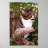 Ziegenposter Poster (Vorne)