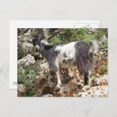 ZiegenPostkarte Postkarte (Vorne/Hinten)