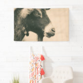 Ziegenprofil Banner (Insitu)