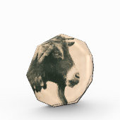 Ziegenprofil Fotoblock (Links)