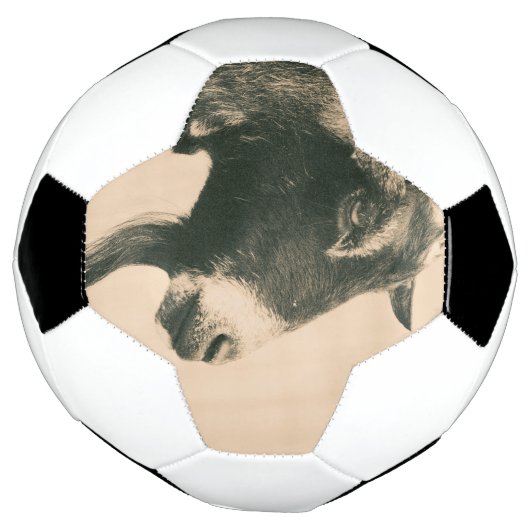 Ziegenprofil Fußball (Gedreht)