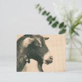 Ziegenprofil Postkarte (Stehend Vorderseite)