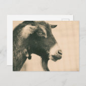 Ziegenprofil Postkarte (Vorne/Hinten)