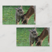 Ziegenreifen Visitenkarte (Vorne/Hinten)