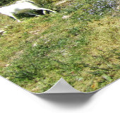 Ziegenrückstand Poster (Ecke)