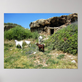 Ziegenrückstand Poster