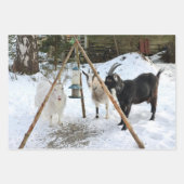 Ziegenschneezuführung Foto Geschenkpapier Set (Vorderseite 2)