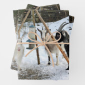 Ziegenschneezuführung Foto Geschenkpapier Set (Beispiel)