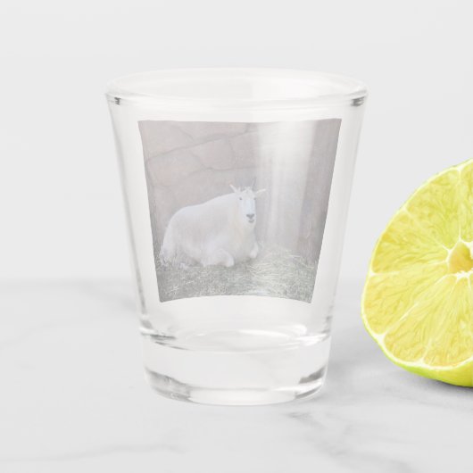 Ziegenschuss Schnapsglas (Rückseite)