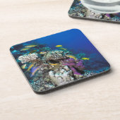 Ziegenschwarm rund um kleine Korallen Getränkeuntersetzer (Linke Seite)