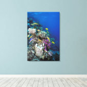 Ziegenschwarm rund um kleine Korallen Leinwanddruck (Insitu (Holzboden))