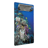 Ziegenschwarm rund um kleine Korallen Mini Klemmbrett (Schrägansicht)