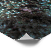 Ziegenschwarm rund um kleine Korallen Poster (Ecke)