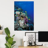 Ziegenschwarm rund um kleine Korallen Poster (Heimbüro)