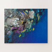 Ziegenschwarm rund um kleine Korallen Puzzle (Horizontal)