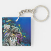 Ziegenschwarm rund um kleine Korallen Schlüsselanhänger (Rückseite)